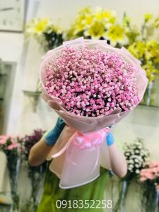 HOA BÓ - HBSN014 - Call 0918352258