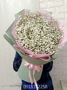 HOA BÓ-baby 0025  - Call 0918352258