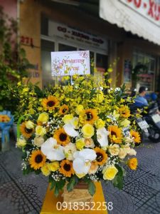 HOA LẲNG -HB001 - Call 0918352258