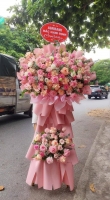kệ hoa chúc mừng