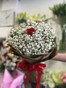 HOA BÓ - HBSN029 - Call 0918352258
