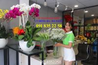 Shop Hoa Tươi Đà Nẵng Đẹp Rẻ - Nhận Điện Hoa Giao Tận nơi